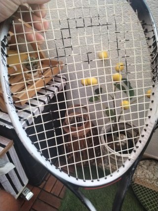 Raqueta de tenis Head Leader Pro