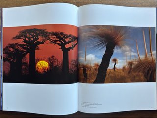 Vida / Life de Frans Lanting