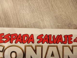 Biblioteca Conan. La Espada Salvaje de Conan 13...