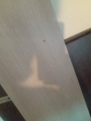 Cabecero y 2 mesitas de noche de madera
