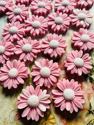 Candele Margherita Rosa Segnaposto Bomboniere