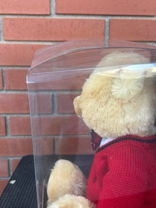 Oso de Peluche Ralph Lauren The Bear That Cares