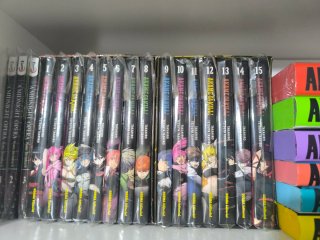 Colección completa Akame ga kill + cofre + fundas.