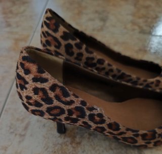 NUEVOS (36) Zapatos Salón Tracha Leopardo
