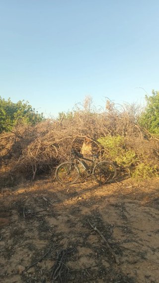 Leña para chimenea o barbacoa