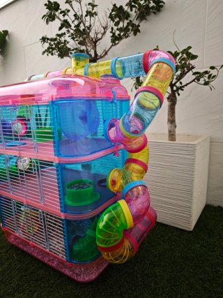 Jaula Hamster Multicolor con Tubos