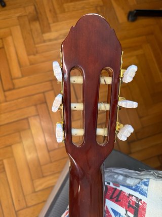Guitarra XP Guitars AG608C