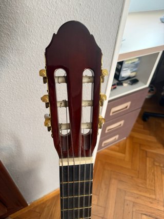 Guitarra XP Guitars AG608C