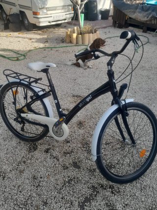 Bicicleta de paseo