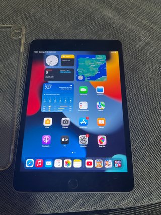 Ipad mini 4