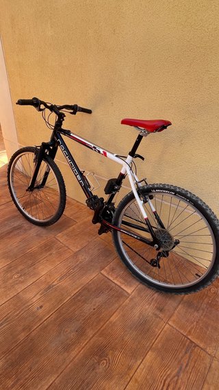Bicicleta con sillita para niño