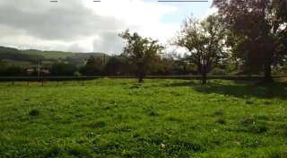TERRENO LLANO EN"HAZAS DE CESTO CANTABRIA"