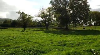 TERRENO LLANO EN"HAZAS DE CESTO CANTABRIA"
