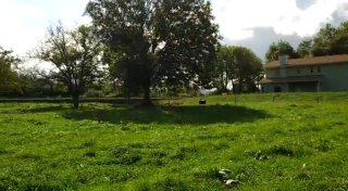 TERRENO LLANO EN"HAZAS DE CESTO CANTABRIA"