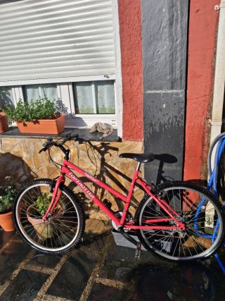Bicicleta Top Trotter Roja