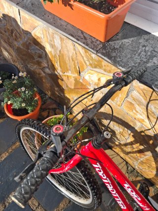 Bicicleta Top Trotter Roja