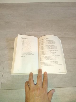 Michael Rosen's A-Z The Best Children's Poetry ...