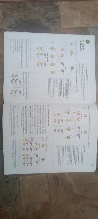 Biología y Geología, 4 ESO, Operación mundo
