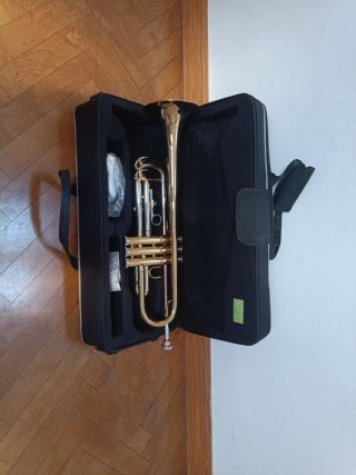 Trompeta Startone con funda