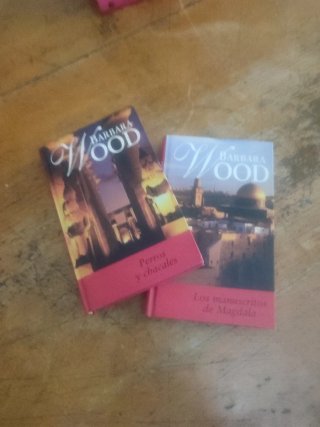 Colección 10 novelas de Barbara Wood