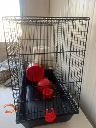 Jaula hámster/pájaro con accesorios
