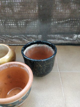 Lote 8 Macetas Cerámica, Plástico y Terracota.