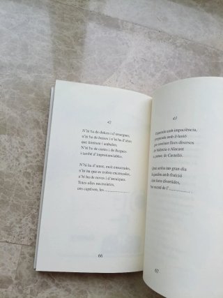Qui la rima l'endevina