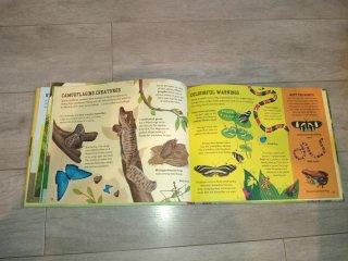 The Rainforest Book