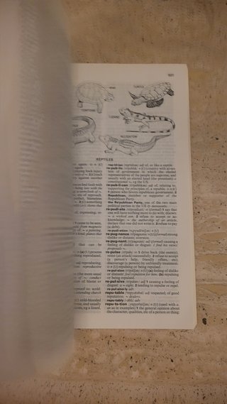 Oxford ESL Dictionary American English