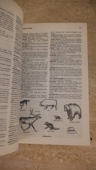 Oxford ESL Dictionary American English