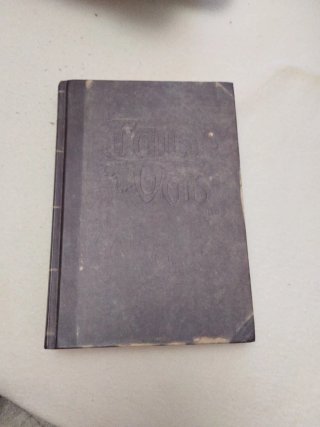 Libro: Fairy Oak -1- El secreto de las gemelas