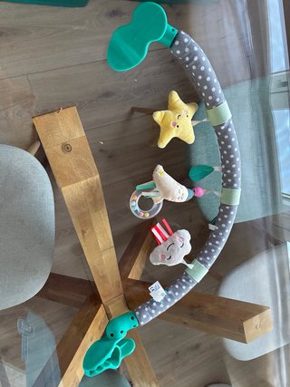 Arco para carro y hamaca TAF TOYS