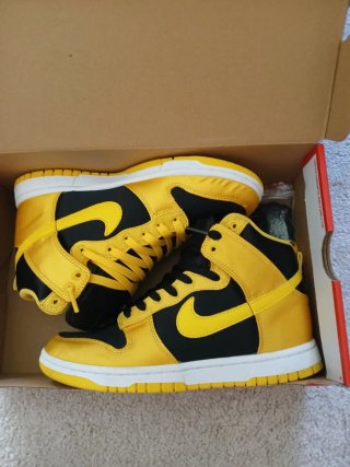 Nike Dunk High