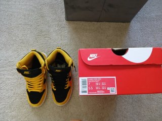 Nike Dunk High