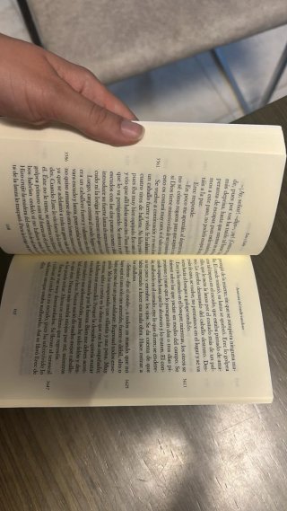 Libro: Erec y Enide