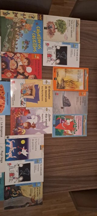 Lote 19 Libros Infantiles/Juveniles