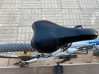 Bicicleta blanca