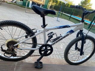 Bicicleta blanca