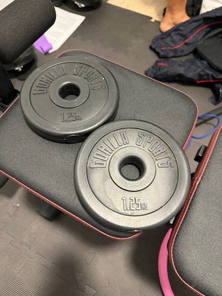 2 discos GORILA SPORTS 1,25kg