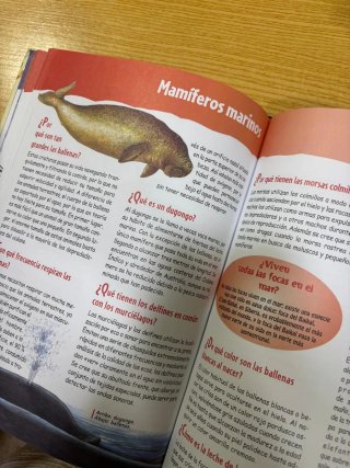 Gran libro de el porqué de las cosas