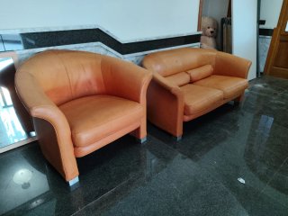 Sofá y sillón de piel marrón
