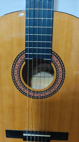 Guitarra Clásica Sonora SGN 450