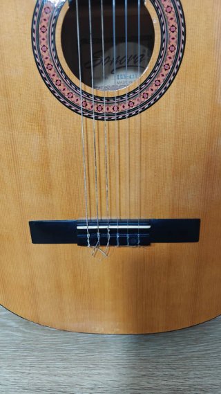 Guitarra Clásica Sonora SGN 450