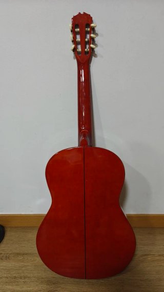 Guitarra Clásica Sonora SGN 450