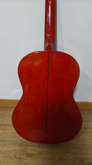Guitarra Clásica Sonora SGN 450