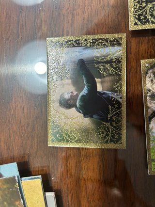 Cromos Harry Potter Orden del Fénix