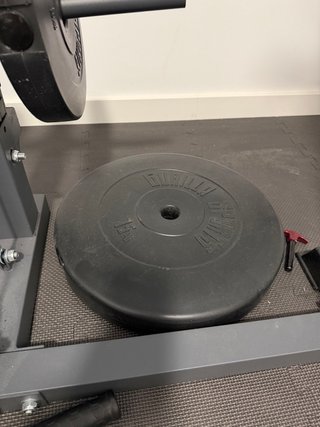 Disco GORILLA 15kg