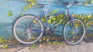 Lote de tres bicicletas