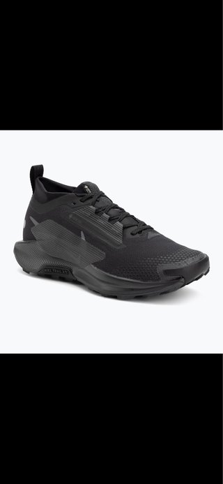 Nike Pegasus Gore-Tex Zapatillas Running Hombre