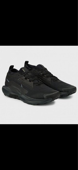 Nike Pegasus Gore-Tex Zapatillas Running Hombre